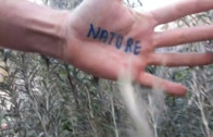 Nature is…
